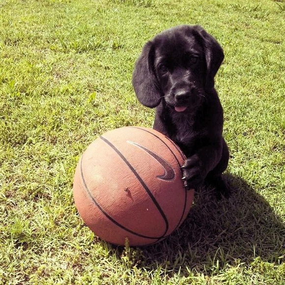 Meet your Posher, Nancy - Picture 3 of 8